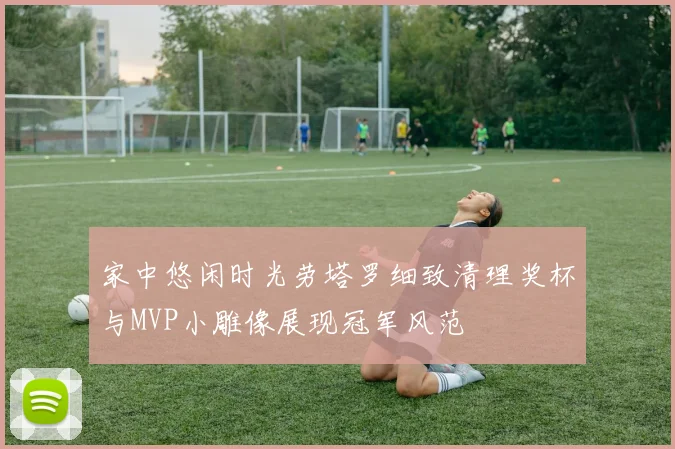 家中悠闲时光劳塔罗细致清理奖杯与MVP小雕像展现冠军风范