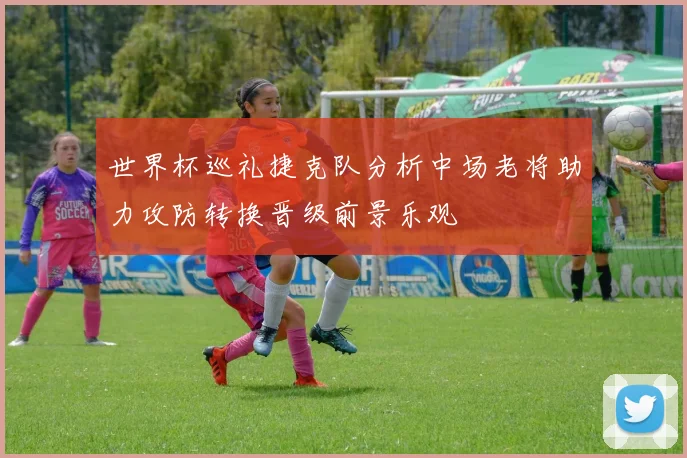 世界杯巡礼捷克队分析中场老将助力攻防转换晋级前景乐观